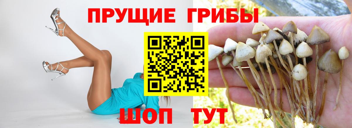 Псилоцибиновые грибы мицелий Учалы